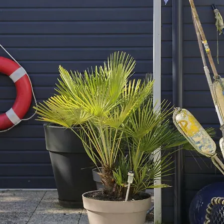 Pensión La Maison Au-dessus Des Voiles