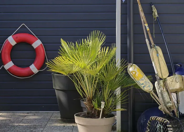 Maison d'hôtes La Maison Au-dessus Des Voiles